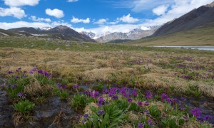Landschaft in der Mongolei