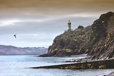 brest
